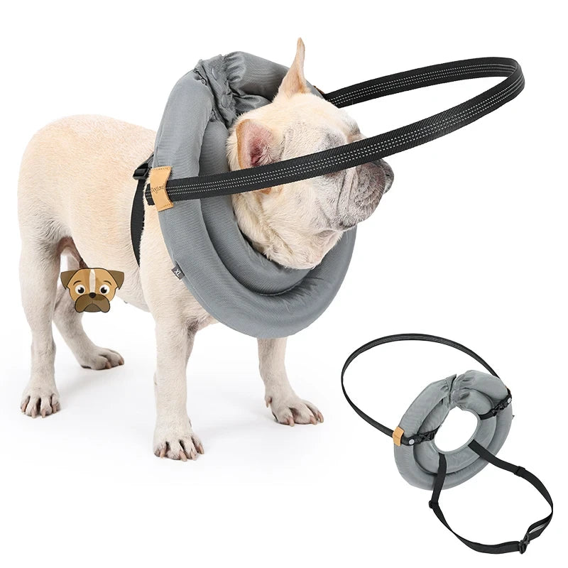 GentleHalo Blind Dog Bumper Collar