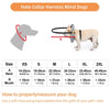 GentleHalo Blind Dog Bumper Collar